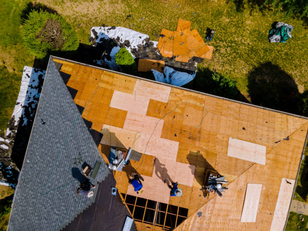 Best Commercial Roofing Services  in St Anne, IL