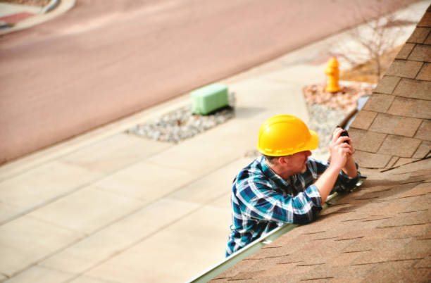 Best Roof Gutter Cleaning  in St Anne, IL