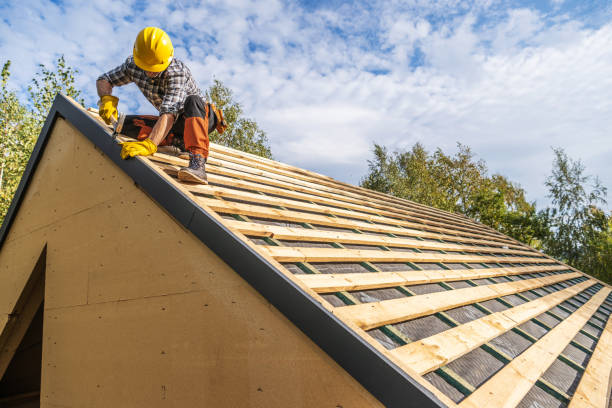 Roof Gutter Cleaning in St Anne, IL
