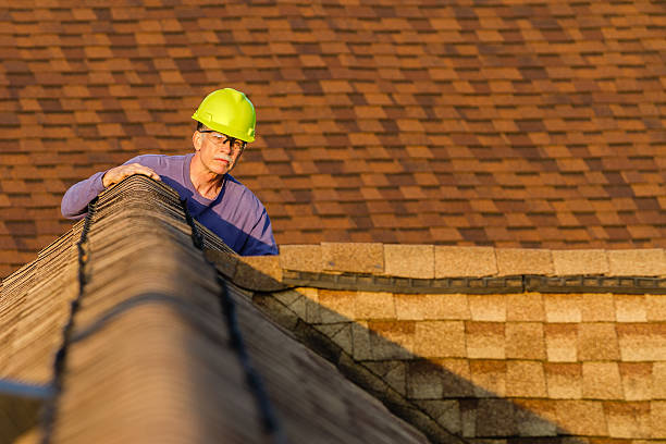Best Metal Roofing Contractor  in St Anne, IL