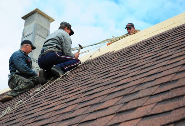 Best Flat Roof Repair Services  in St Anne, IL