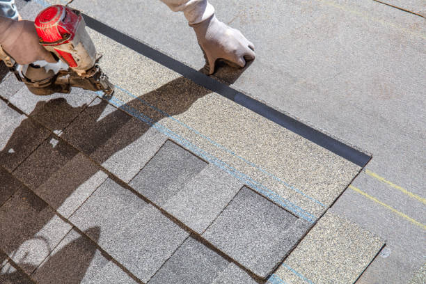 Best Roof Gutter Cleaning  in St Anne, IL